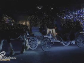 [ID: 56JlifWYQU4] Youtube Automatic