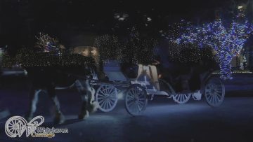 [ID: 56JlifWYQU4] Youtube Automatic